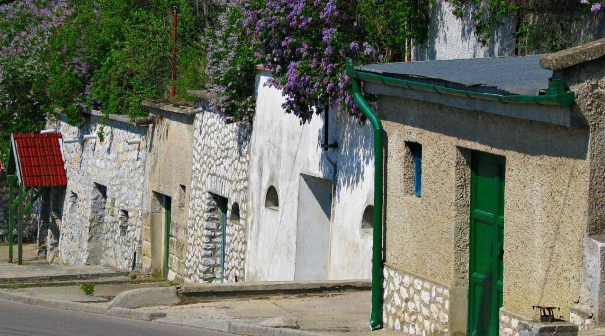Fenyo Panzio Bed & Breakfast Mezőkövesd Екстериор снимка